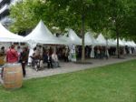 Festi Bacchus 2011 à Paris Bercy
