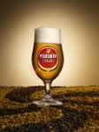 Scéances dégustation Pelforth Trois Malts à Paris