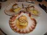 Restaurant Maxan à Paris 8 - Les Saint-Jacques bien dorées