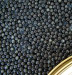 Caviar des Pyrénées 