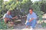Gigondas Grand Montmirail 2010