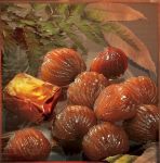 Livre Marrons Glacés, l'art de la transformation de la chataigne en marron glacé