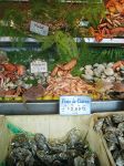 restaurant Le Bar à Huitres Montparnasse à Paris 14e - une vue sur le grand banc de fruits de mer 