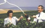 Champagne Boizel Blanc de Noirs
