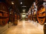 Les chais de la cave des vins de Rasteau
