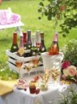 Les Champagnes de vignerons 