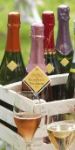 Les Champagnes de vignerons 