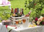 Les Champagnes de vignerons 
