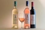 Cotes de provence Chateau Grand Boise : la gamme des vins