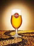 Bière Pelforth 3 malts