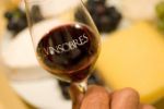 Cotes du rhone Vinsobres