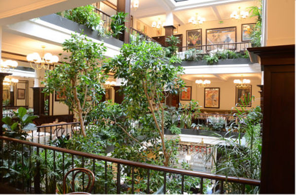 cafe commerce restaurant 75015 s1