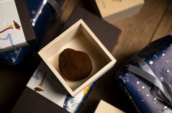 alleno noel 2025 truffe