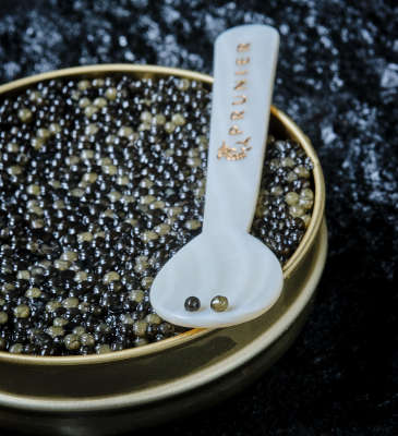 prunier noel 2025 caviar emile 2