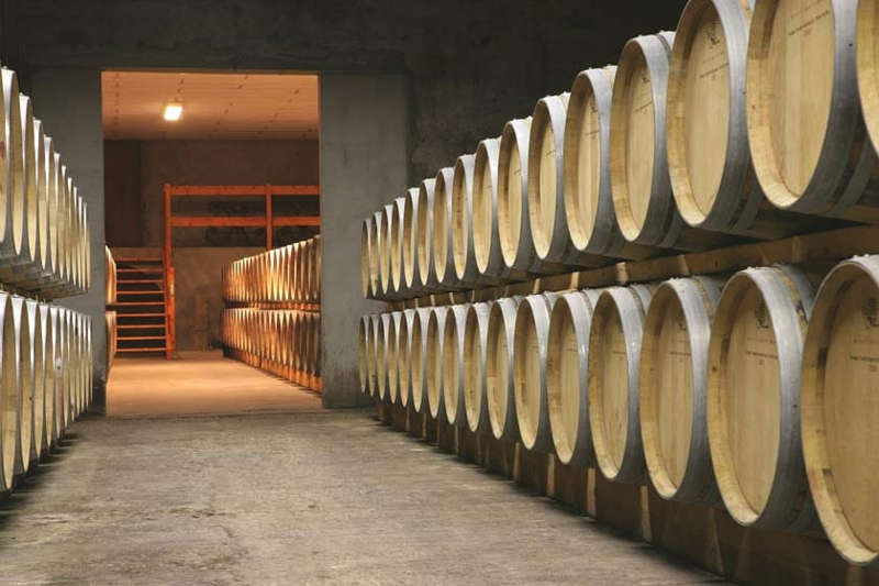 Château Tour des termes casse les codes de bordeaux