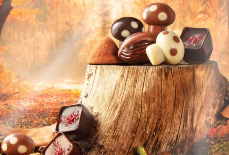 Chocolats 2024 Leonidas