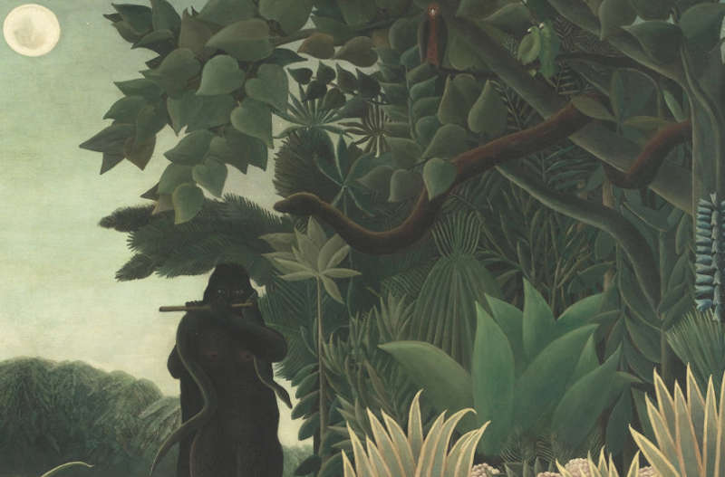 Henri Rousseau au Musée de l'Orangerie 