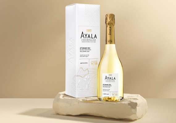 ayala noel 2026 1