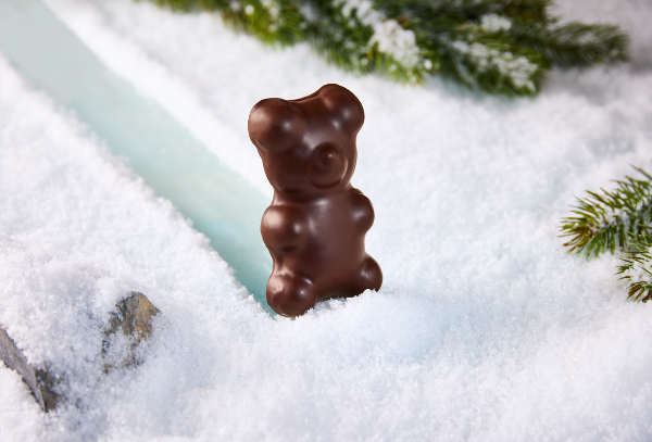 cluizel noel 2025 ourson