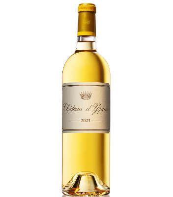 yquem noel 2026 3
