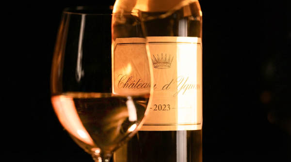 yquem noel 2026 4