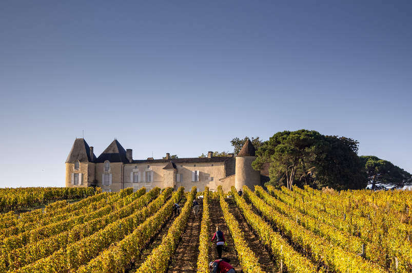 Château d’Yquem 2023