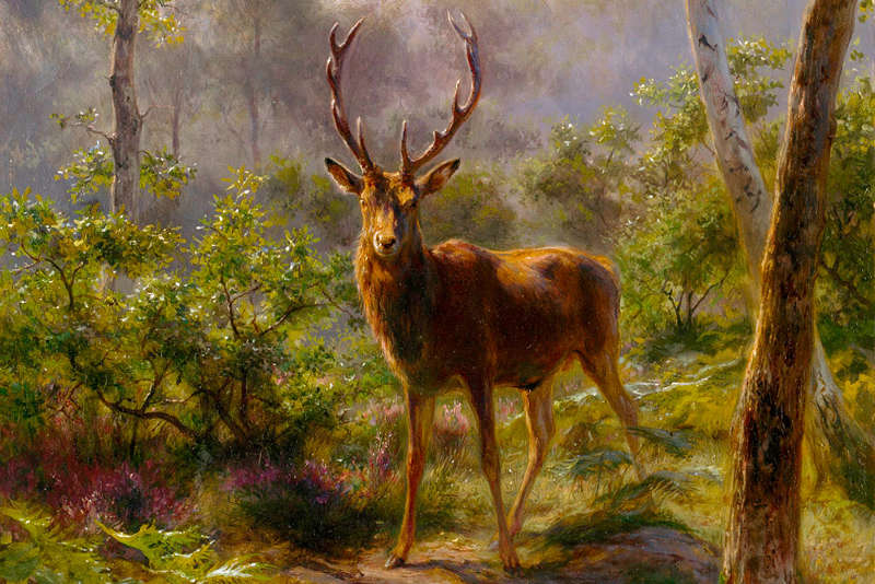 Rosa Bonheur au Musée d'Orsay
