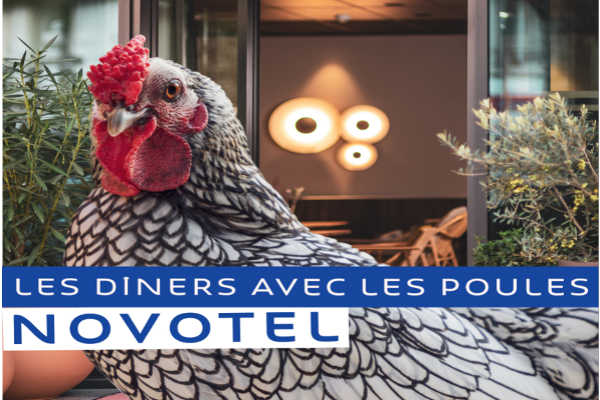 diners avec les poules novotel