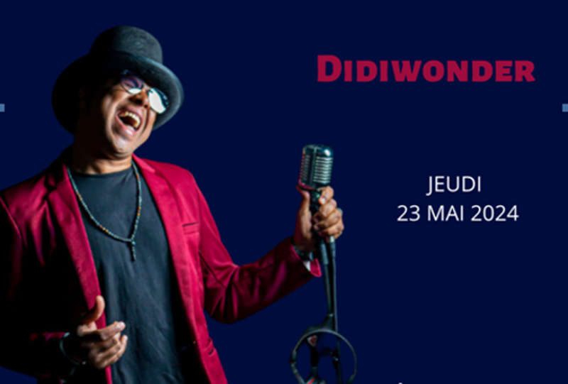 Didiwonder au Pavillon des Ibis