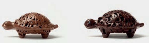 boissier paques 2022 tortues