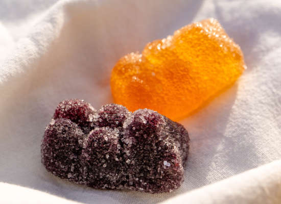 doucet paques 2026 oursons