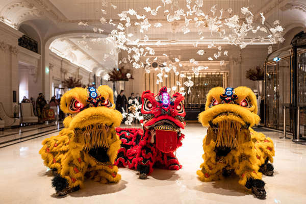 lili nouvel an chinois lions