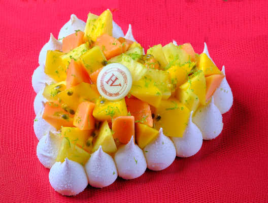 hugo victor sv 2022 pav