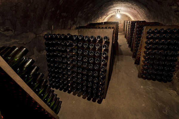 brun champagne caves