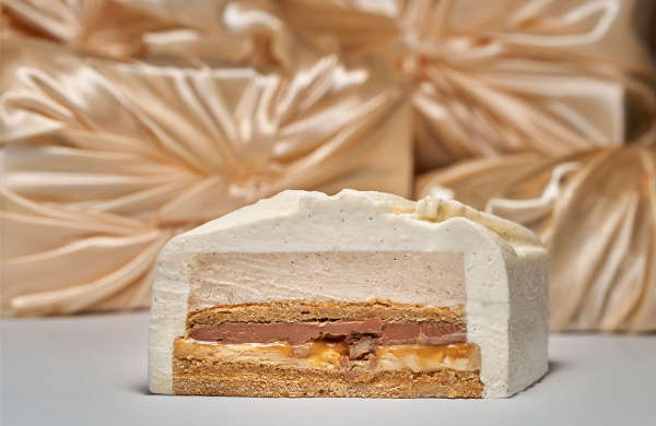 park hyatt noel 2026 buche 2