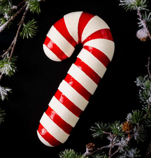  bûche de Noël 2025 du Printemps Paris 