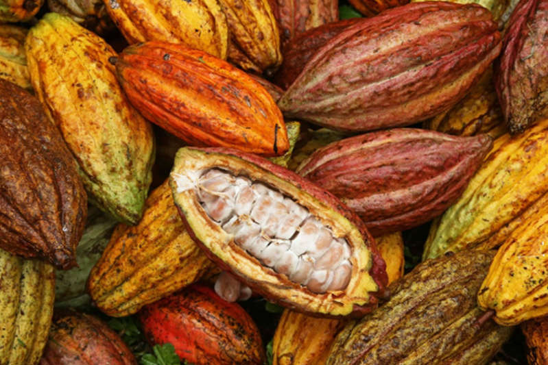 Valrhona chocolat