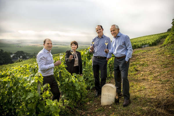 boizel cahmpagne vigne