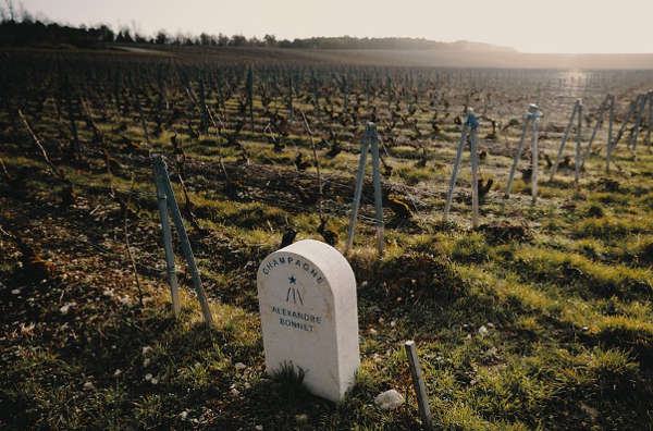 bonnet champagne vignes