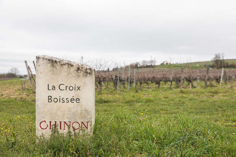 Chinon blanc Bois d'Arçon 2023