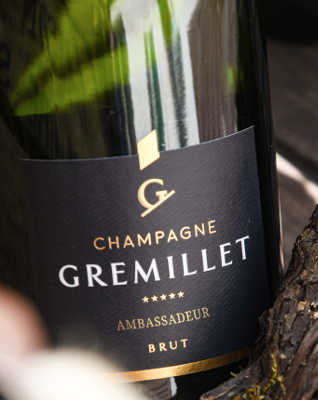 gremillet ambassadeur 2023 2