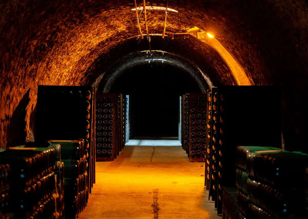 mandois champagne 4