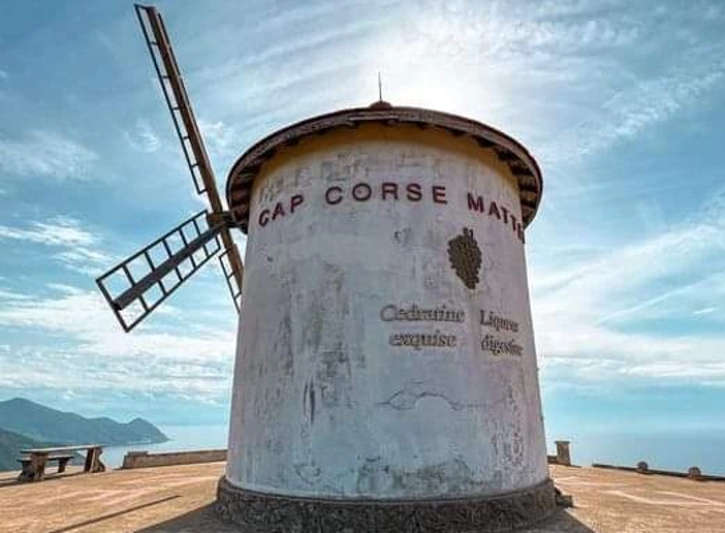 Nepita by Mattei