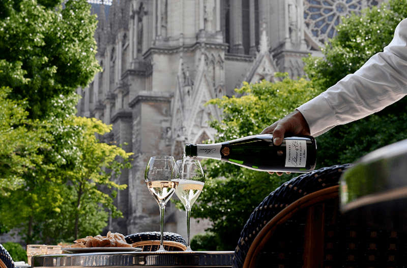 Champagne Palmer Réserve Nature