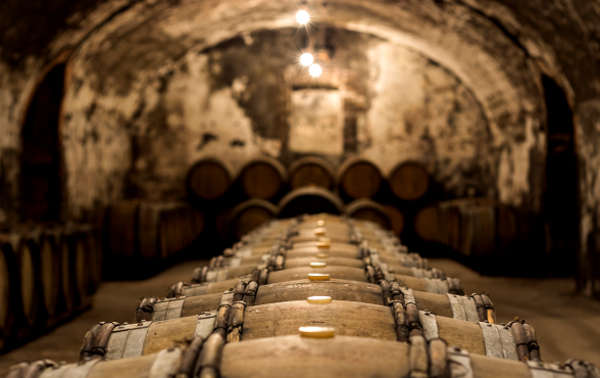 palmer champagne solera