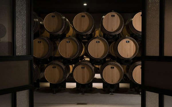 vignerons terres secretes chais