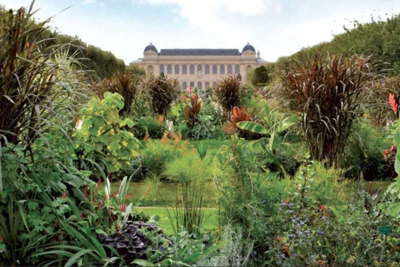Jardin des Plantes à Paris