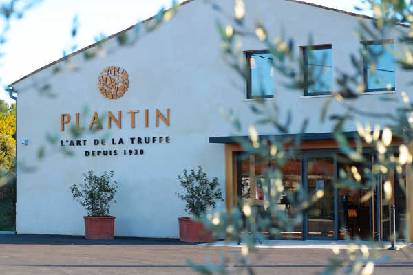 Plantin s'invite à Pâques