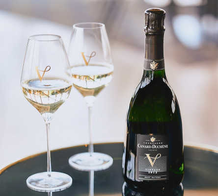 canard duchene v2012 2