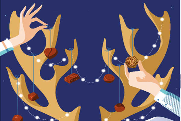 Noël et Nouvel An de Neuville